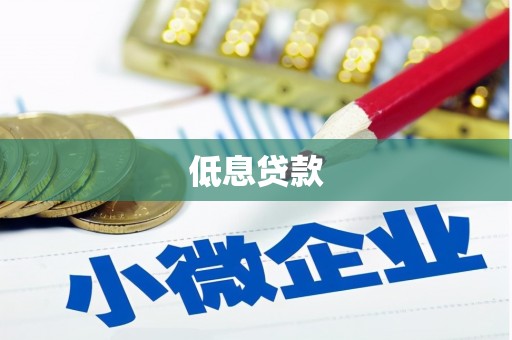 遂溪低息贷款