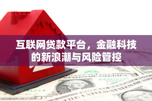遂溪互联网贷款平台，金融科技的新浪潮与风险管控
