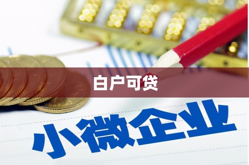 遂溪白户可贷