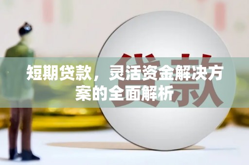 遂溪短期贷款，灵活资金解决方案的全面解析
