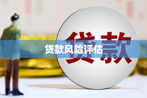 遂溪贷款风险评估