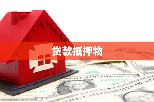 遂溪贷款抵押物
