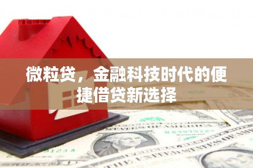 遂溪微粒贷，金融科技时代的便捷借贷新选择