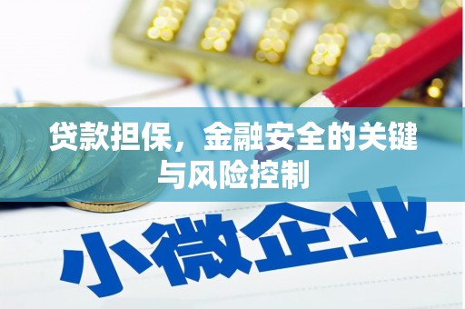 遂溪贷款担保，金融安全的关键与风险控制