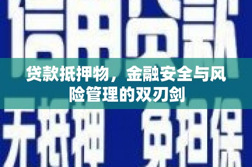 遂溪贷款抵押物，金融安全与风险管理的双刃剑