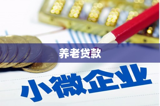 遂溪养老贷款
