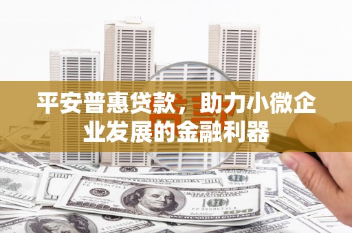 遂溪平安普惠贷款，助力小微企业发展的金融利器