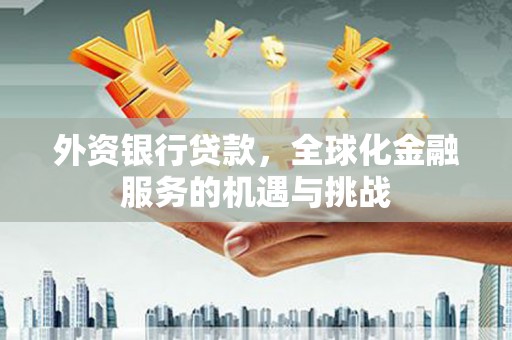 遂溪外资银行贷款，全球化金融服务的机遇与挑战