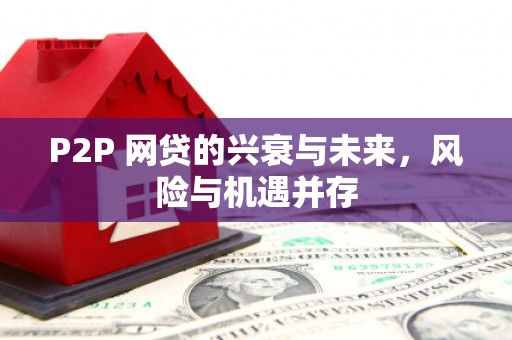遂溪P2P 网贷的兴衰与未来，风险与机遇并存