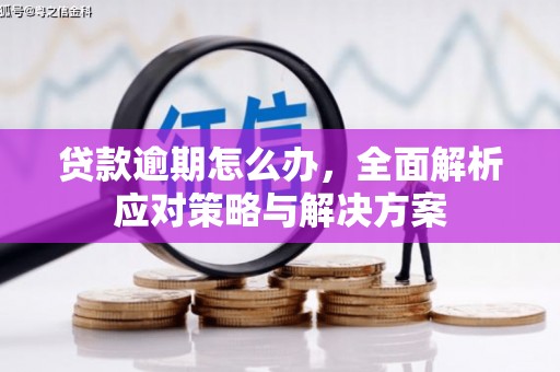 遂溪贷款逾期怎么办，全面解析应对策略与解决方案