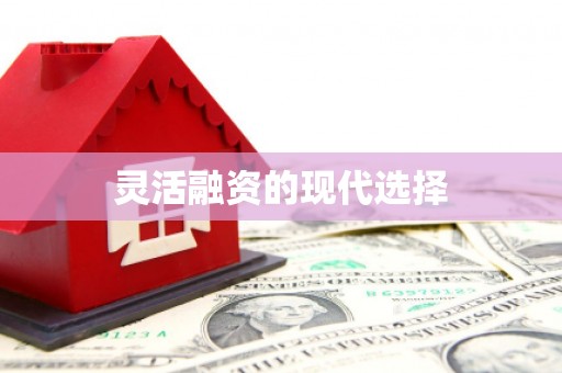 遂溪灵活融资的现代选择