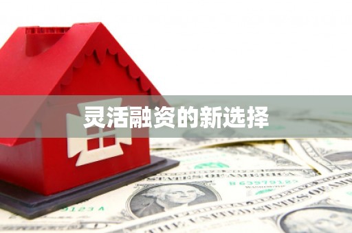 遂溪灵活融资的新选择
