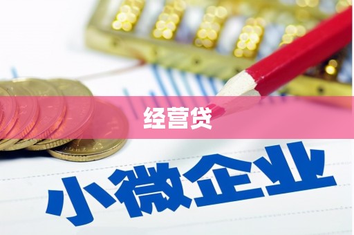 遂溪经营贷