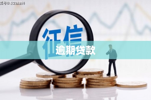 遂溪逾期贷款