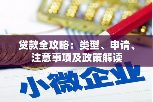 遂溪贷款全攻略：类型、申请、注意事项及政策解读
